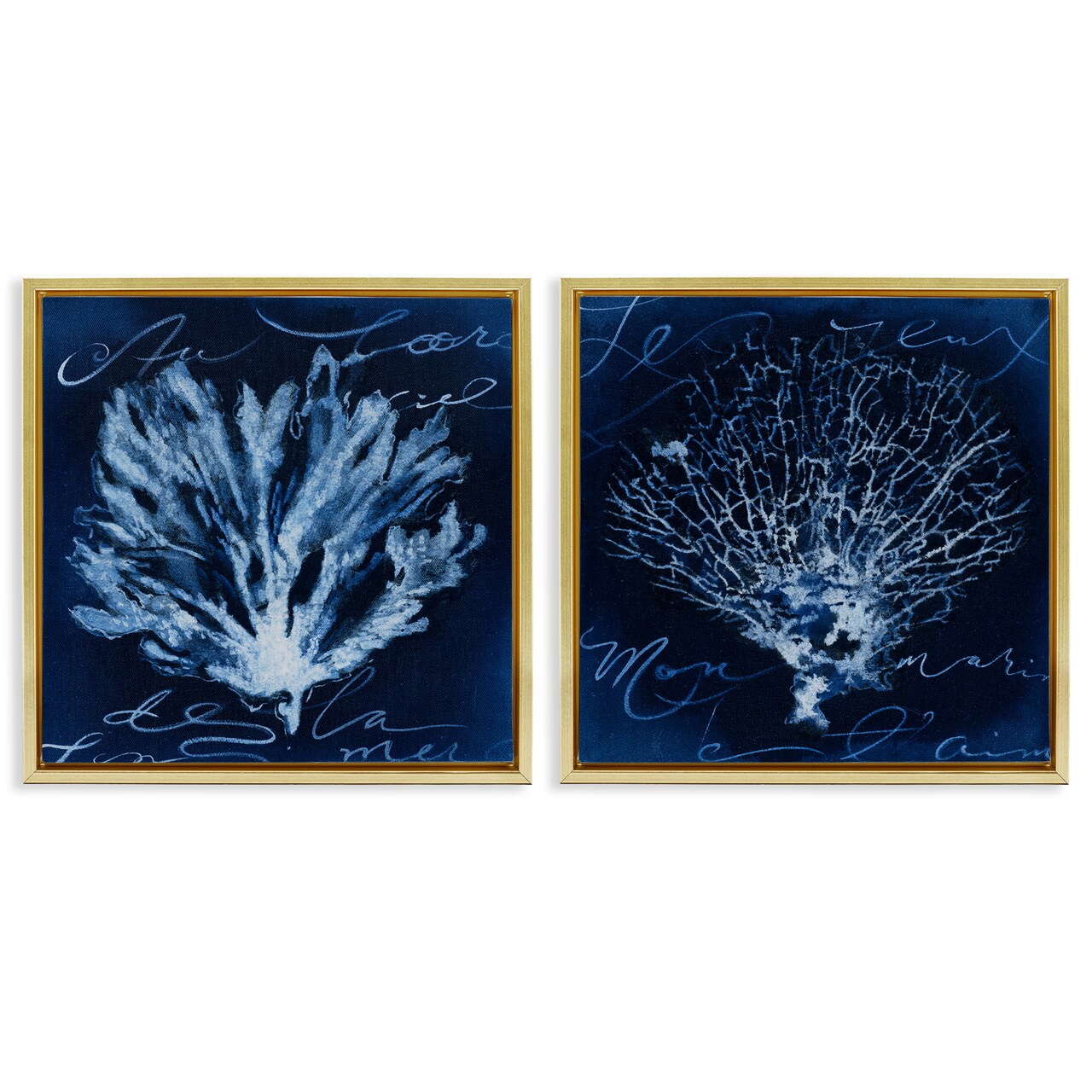 Stupell Industries Dark Blue Coral Pieces 2 pc Framed Floater Canvas Wall Art Set Design by Liz Jardine